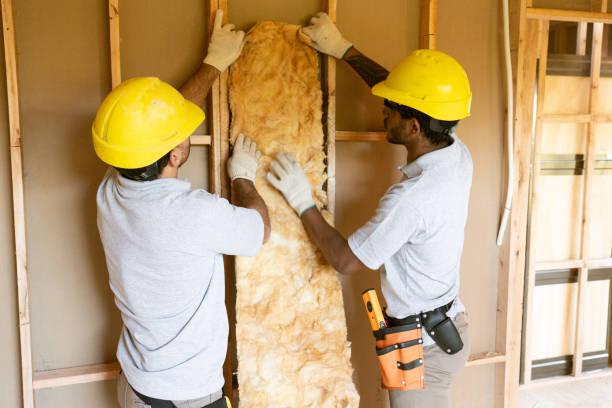 Types of Insulation We Offer in Primera, TX